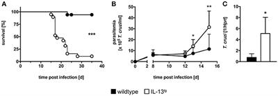 Arginase-1 Is Responsible for IL-13-Mediated Susceptibility to Trypanosoma cruzi Infection